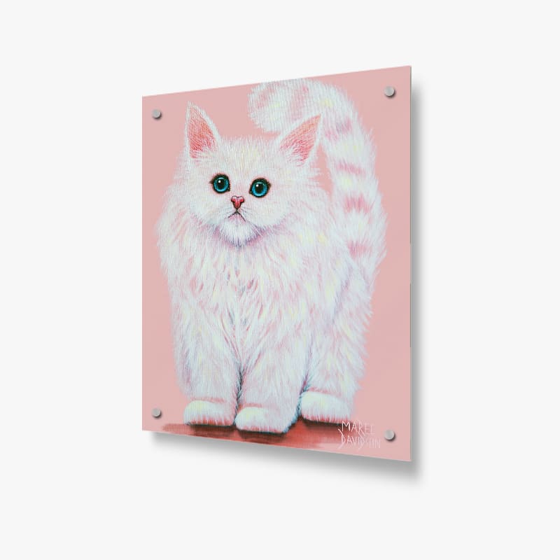 Cashmere Rose Kitten - Acrylic Glass Panel - Image 1