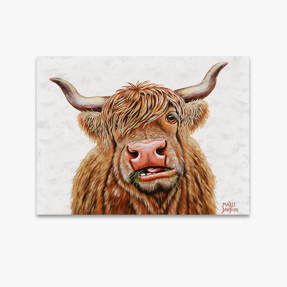 Dougal the Highland Cow - Original Prints - Image 1