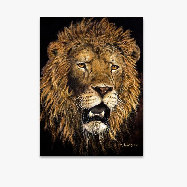 Old Hero the Lion - Canvas Print