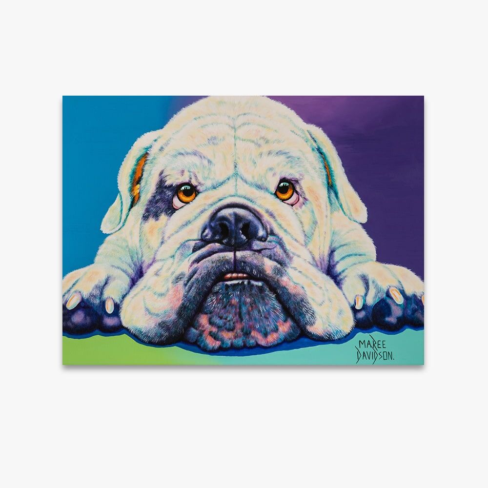 Aqua Aussie Bulldog - Canvas Print - Image 1