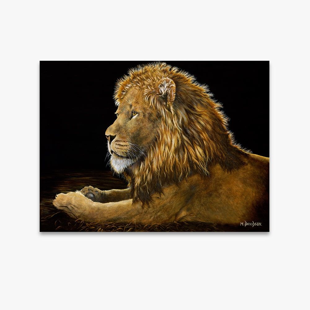 reflection-1.jpg Reflections the Lion - Canvas Print - Image 1