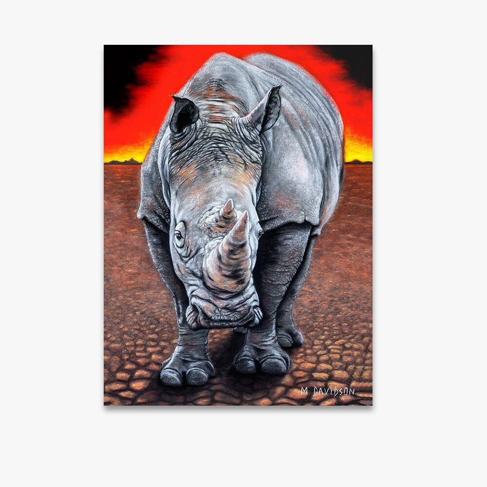 sunset-rihino.jpg Suset Rhino - Canvas Print - Image 1