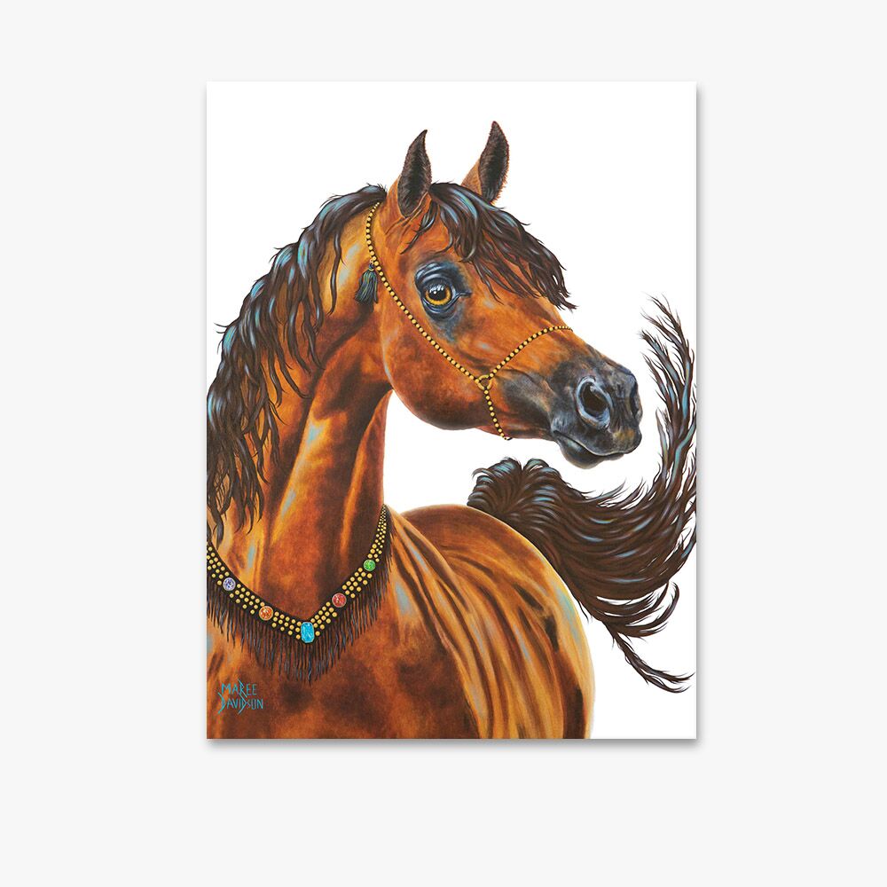 Prince the Horse - Canvas Print - Image 1