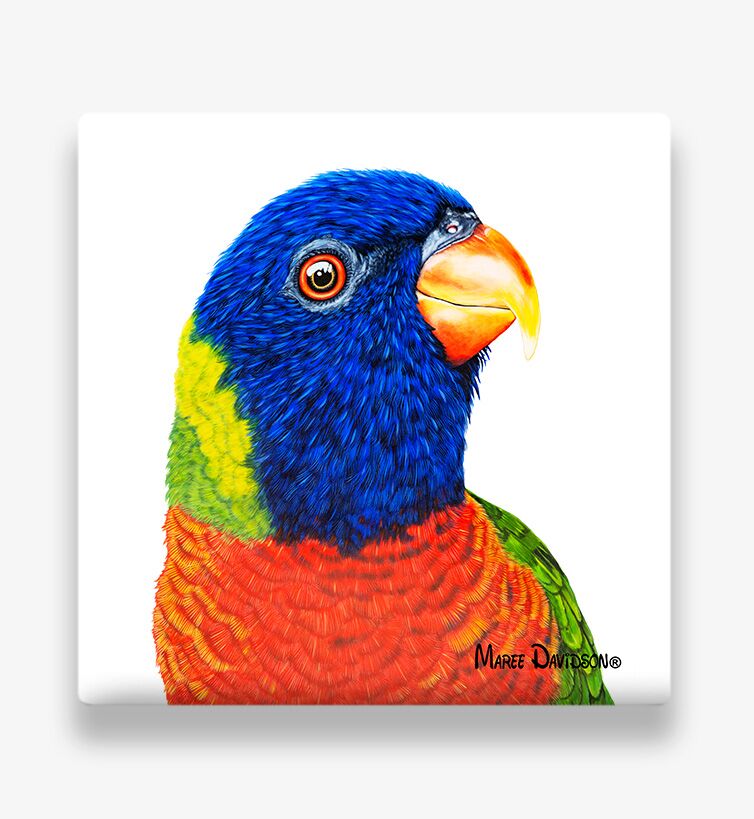 Rainbow Lorikeet Coaster Rainbow Lorikeet - Ceramic Coaster - Image 1